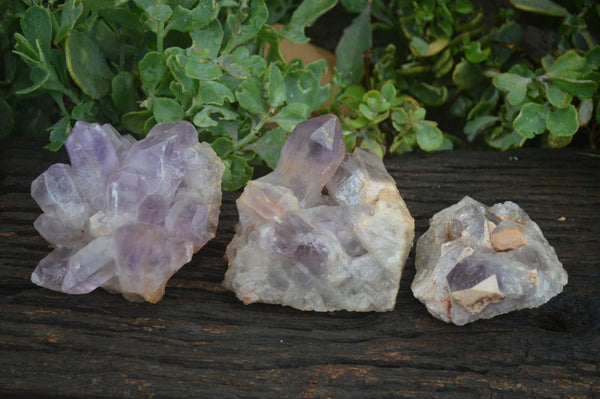 Natural Jacaranda Amethyst Clusters  x 3 From Zambia - TopRock