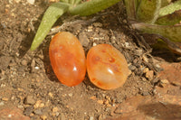 Polished Mini Carnelian Agate Palm Stones  x 35 From Madagascar - TopRock