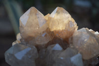 Natural Cascading White Phantom Smokey Quartz Clusters  x 3 From Luena, Congo - Toprock Gemstones and Minerals 