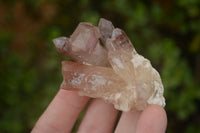 Natural Red Hematoid Quartz Specimens x 24 From Karoi, Zimbabwe - TopRock