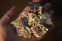 Natural Rough Watermelon Fluorite Cobbed Specimens  x 35 From Uis, Namibia