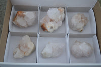 Natural White Spirit Quartz Clusters  x 6 From Boekenhouthoek, South Africa - Toprock Gemstones and Minerals 