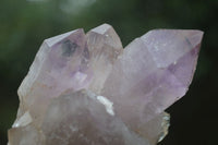 Natural Jacaranda Amethyst Crystal Clusters  x 3 From Mumbwa, Zambia - Toprock Gemstones and Minerals 