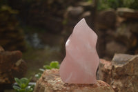 Polished Gemmy Pink Rose Quartz Flames  x 2 From Ambatondrazaka, Madagascar - TopRock