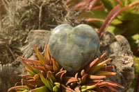 Polished Purple Flash Labradorite Hearts x 6 From Tulear, Madagascar - TopRock