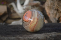 Polished Polychrome Jasper Spheres  x 2 From Mahajanga, Madagascar