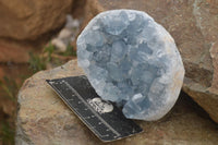 Natural Blue Celestite Crystal Specimens  x 2 From Sakoany, Madagascar - Toprock Gemstones and Minerals 