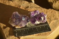 Natural Dark Amethyst Crystal Clusters x 12 From Zambia