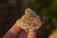 Natural Pale Spirit Quartz Clusters x 12 From Boekenhouthoek, South Africa