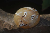 Polished Carnelian Agate Palm Stones  x 12 From Madagascar - Toprock Gemstones and Minerals 