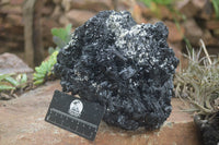 Natural Black Tourmaline Specimen x 1 From Erongo Mountains, Namibia - TopRock