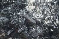 Natural Black Tourmaline Specimen x 1 From Erongo Mountains, Namibia - TopRock