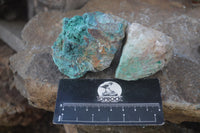 Natural Blue Shattuckite Specimens x 12 From Kaokoveld, Namibia