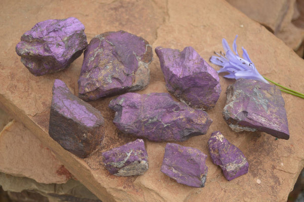 Natural Selected Purpurite Cobbed Specimens  x 9 From Namibia - TopRock