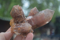 Natural Red Hematoid Quartz Crystals & Clusters  x 6 From Karoi, Zimbabwe - TopRock