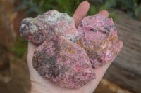 Natural Rough Red Rhodonite Specimens  x 6 From Zimbabwe - TopRock