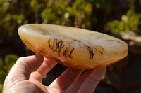 Polished Semi Translucent Dendritic Agate Standing Free Forms  x 2 From Moralambo, Madagascar - TopRock