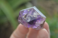 Natural New Window Amethyst Crystals  x 12 From KZN, South Africa - Toprock Gemstones and Minerals 