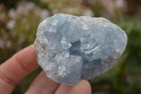 Natural Blue Celestite Crystal Specimens  x 7 From Sakoany, Madagascar