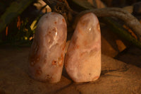 Polished Ocean Flower Agate Standing Free Forms  x 4 From Madagascar