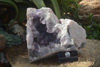 Natural Jacaranda Amethyst Cluster x 1 From Mumbwa, Zambia - TopRock