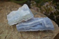 Natural Etched Blue Chalcedony Specimens  x 12 From Nsanje, Malawi