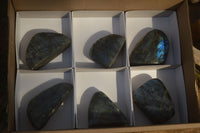 Polished Flashy Labradorite Standing Free Forms  x 6 From Tulear, Madagascar