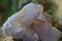 Natural Jacaranda Amethyst Clusters  x 3 From Mumbwa, Zambia - Toprock Gemstones and Minerals 