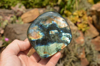 Polished Blue Flash Labradorite Standing Free Forms  x 4 From Tulear, Madagascar - TopRock