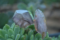 Natural Smokey Amethyst Window Quartz Crystals  x 20 From Chiredzi, Zimbabwe - Toprock Gemstones and Minerals 