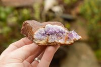 Natural Amethyst & Basalt Geode Specimens  x 12 From Zululand, South Africa - TopRock