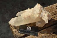 Natural Single Large Quartz Crystals  x 2 From Mandrosonoro, Madagascar - TopRock