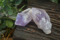 Natural Large Single Jacaranda Amethyst Crystals  x 12 From Mumbwa, Zambia - Toprock Gemstones and Minerals 