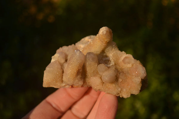 Natural Pale Spirit Quartz Clusters x 12 From Boekenhouthoek, South Africa