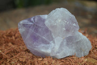 Natural Single Jacaranda Amethyst Crystals  x 6 From Mumbwa, Zambia - Toprock Gemstones and Minerals 