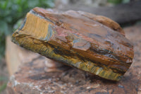 Natural Golden Blue Tigers Eye Specimens  x 2 From Prieska, South Africa - TopRock