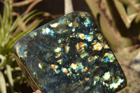 Polished Labradorite Standing Free Form With Spotted Blue & Gold Flash x 1 From Sakoany, Madagascar - TopRock