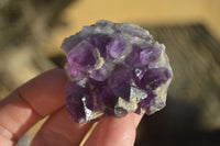 Natural Dark Amethyst Crystal Clusters x 12 From Zambia