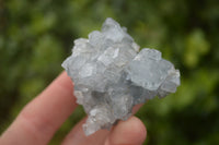 Natural Blue Celestite Crystal Specimens  x 7 From Sakoany, Madagascar