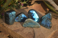 Polished Flashy Labradorite Standing Free Forms  x 6 From Tulear, Madagascar