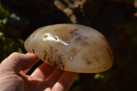 Polished Semi Translucent Dendritic Agate Standing Free Forms  x 2 From Moralambo, Madagascar - TopRock