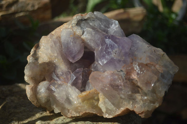 Natural Jacaranda Amethyst Cluster x 1 From Mumbwa, Zambia - TopRock