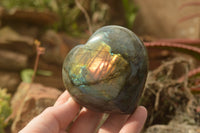 Polished Purple Flash Labradorite Hearts x 6 From Tulear, Madagascar - TopRock