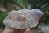 Natural Jacaranda Amethyst Clusters  x 3 From Zambia - TopRock