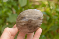 Polished Large Morion Smokey Quartz Eggs x 4 From Madagascar - TopRock