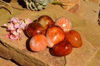 Polished Small Carnelian Agate Eggs  x 12 From Madagascar - TopRock