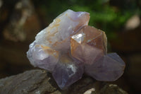 Natural Jacaranda Amethyst Clusters  x 3 From Mumbwa, Zambia - Toprock Gemstones and Minerals 