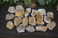 Natural Golden Limonite Quartz Clusters x 24 From Zambia