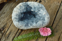 Natural Classic Blue Celestite Geode With Semi Optic Crystals  x 1 From Madagascar - TopRock