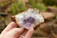 Natural Amethyst & Basalt Geode Specimens  x 12 From Zululand, South Africa - TopRock